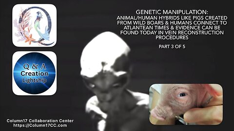 Genetic Manipulation (Part 3 of 5): Animal/Human hybrid like pigs created from wild boars & humans..