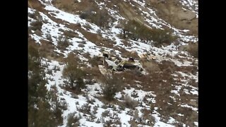 Plane Crash January 31st, 2021 Western Colorado