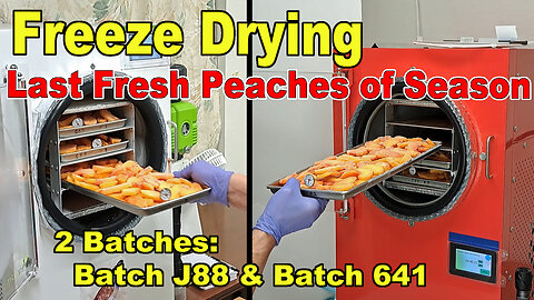Freeze Drying a Double Batch, 641 and J88 - Sliced Peaches - Last Peaches of the Season!