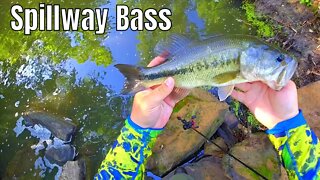 Small Creek Spillway Bass Fishing