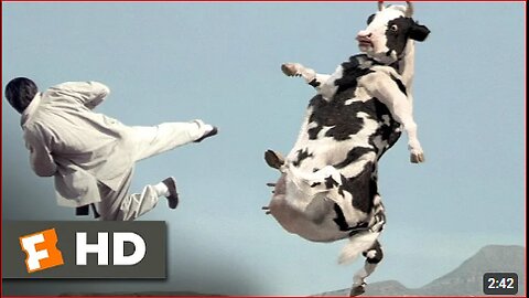 man vs cow Best fight