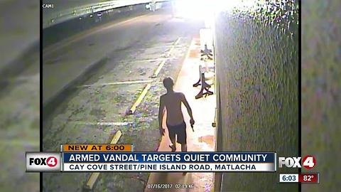Armed Vandal Targets Quiet Community