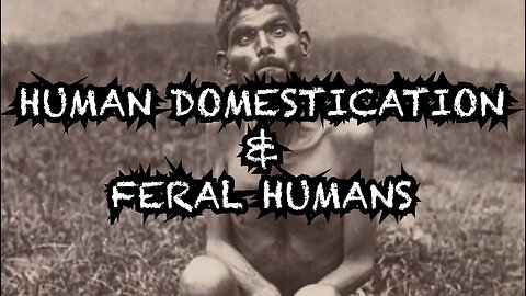 Hypothesis of Human Domestication and the Feral Humans