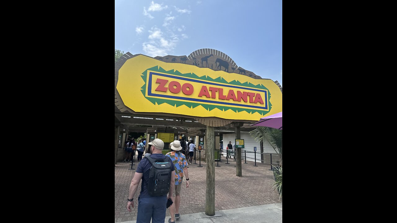 Fun Time at the Atlanta zoo with kids doing the splash pad