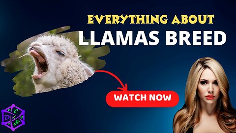 Llama Breeds for Pets
