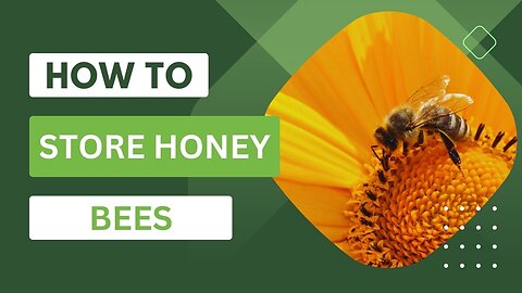 How To Store BeeS Honey💖