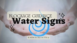 WATER SIGNS🌊: LIMITING BELIEFS | BLOCKAGES GUIDANCE MESSAGE | CANCER, SCORPIO, PISCES #tarot