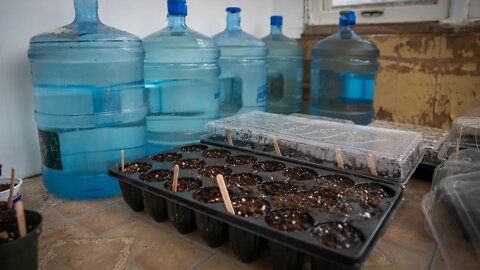 DIY Thermal battery to keep seedlings and soil warm at night with easy passive solar technique.