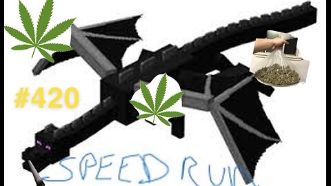 #420 Ender Dragon Speed Run 1follower=1hit