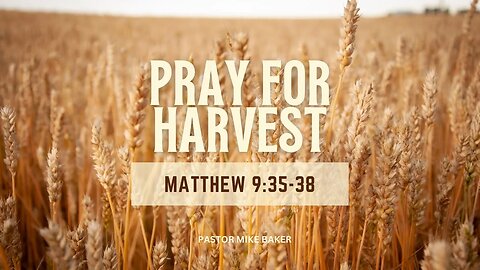 Pray For Harvest - Matthew 9:35-38