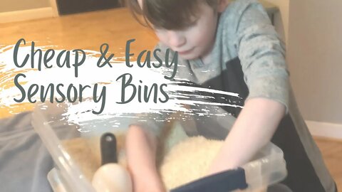 2 Cheap & Easy DIY Sensory Bins for Homeschool and Beyond