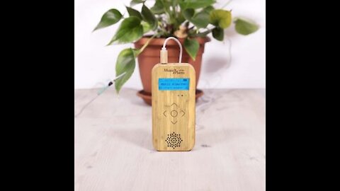 MUSIC OF THE PLANTS | Bamboo M Music of the Plants Device | PRANALINK.COM