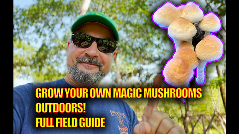 HOW TO GROW MAGIC MUSHROOMS OUTDOORS- FULL FIELD GUIDE