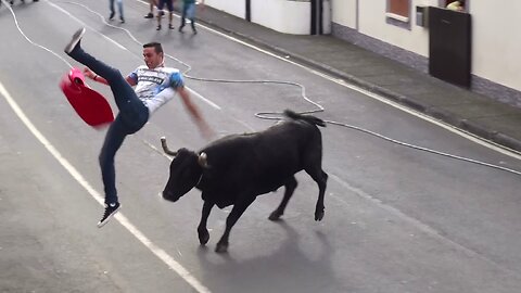 Best Of Street Bulls - Marradas Clip 3/2016 - Terceira Island Bullfights