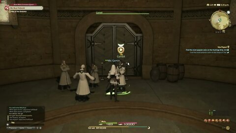 Final Fantasy XIV Online MMORPG Vox Populi