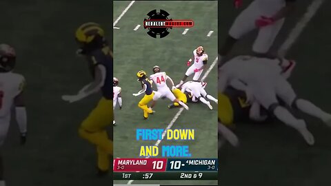 Michigan Wolverines Top Play Highlights NCAAF College Football Amazing Plays #sportsclips