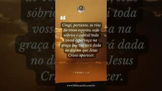 1 Pedro 1,13 - Cingi, portanto, os rins do vosso espírito, sede sóbrios e colocai toda vossa esperan