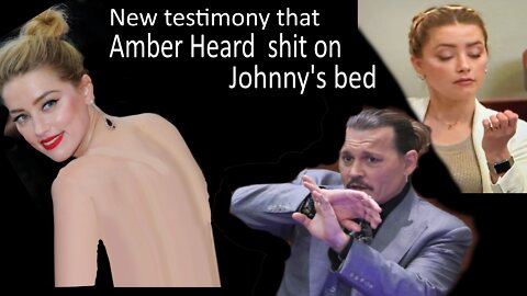 Turning the MeToo movement into MePoo, Witness says Amber Heard shit on Johnny Depp's bed(funny