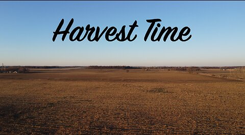 Harvest Time