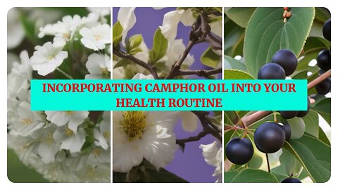 Incorporating Camphor Oil into Your Health Routine: Camphor Oil: Your Key to Better Health