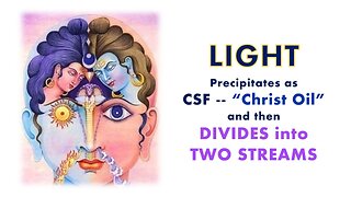 LIGHT precipitated as CSF by the Claustrum DIVIDES INTO TWO STREAMS - - Pituitary and Pineal
