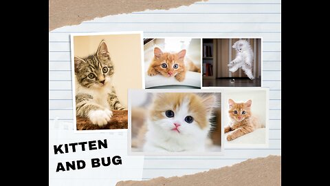Playful Persian Kittens on a Bug Hunt, Adorable Moments of Curiosity and Fun.