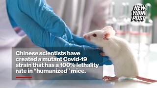 Chinese lab crafts mutant COVID-19 strain with 100% kill rate in ‘humanized’ mice