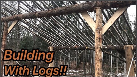 Log Sugar Shack Build