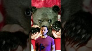 Essa familia criou urso em extinção pensando que era um cachorro