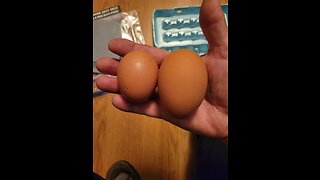 Chicken update and Double Yolk Egg