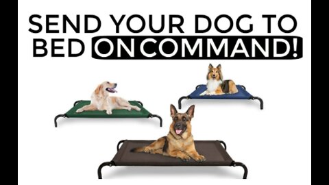 How to teach your dog to go to their bed ON COMMAND- The easiest dog training process