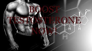 TESTOSTERONE SUBLIMINAL - BOOST YOUR TESTOSTERONE LEVELS THROUGH THE ROOF