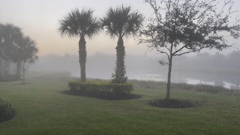 Another Foggy Morning in Paradise- 12/10/2021- 4K