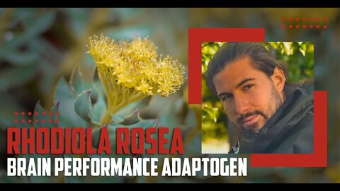 Rhodiola Rosea: What They Are, Benefits and the Science Behind Them