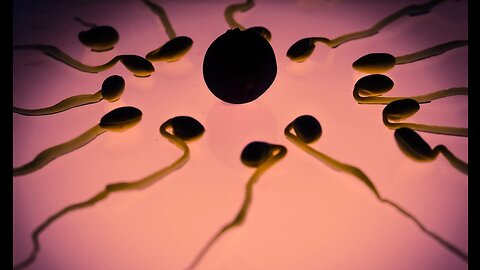 Research Shows Global Sperm Counts Has Fallen 62%