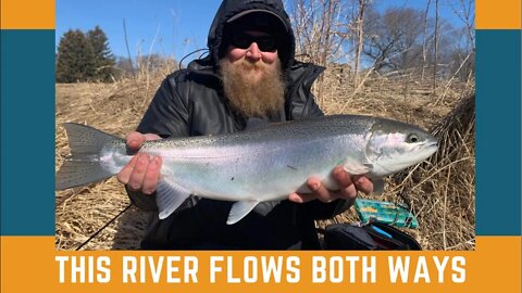 This River Flows Both Ways... River Fishing For Steelhead / Float Fishing Weird Rivers In The World