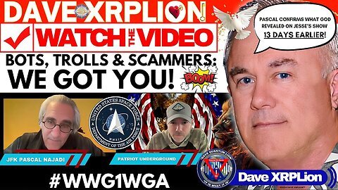 The Video Bots Trolls And Scammers We Got You Must Watch 06/02/2024