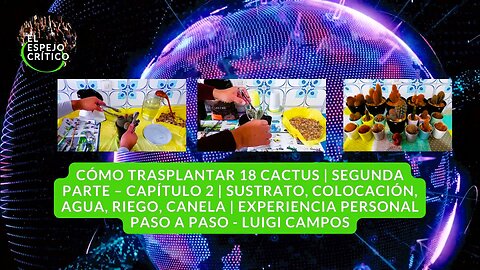 Cómo trasplantar 18 cactus | Segunda parte – Capítulo 2 | Luigi Campos