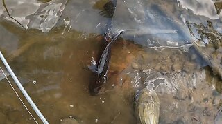 Fishing in the wind