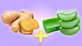 Infuse Ginger and Aloe Vera For These Incredible Benefits