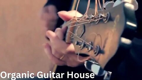 Organic Guitar House (Dance & Electronic) Download copyright free music |background music |royalty