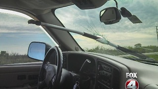 Oar through woman's car window