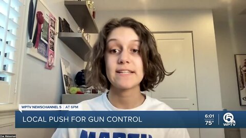 Local push for gun control