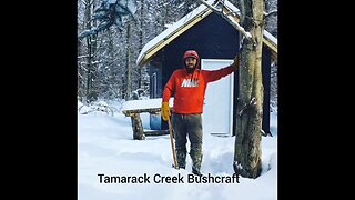 Harvesting chaga in Northern Michigan