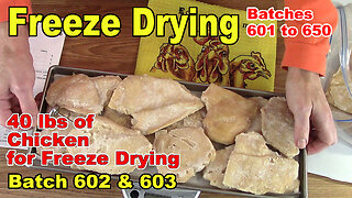 Freeze Drying 50 more Batches - 601 to 650 - Batch 602 & 603 Freeze Drying 40 lbs of Chicken