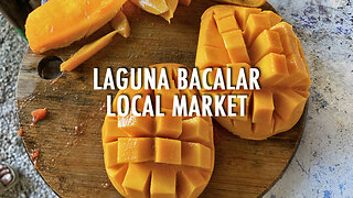 Shopping At Laguna Bacalar Local Market (May 2023)