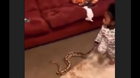 Baby Surprises Mother With A Snake She Found Outside - HaloRockNews