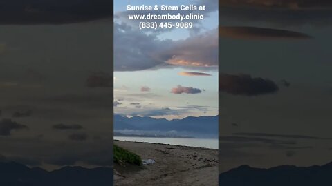 Sunrise & Stem Cells @ #dreambodyclinic #stemcells #sunrise #stemcelltherapy #health #healthcare