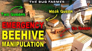 Emergency Beehive Manipulation