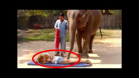FUNNY99TEAM | ELEPHANT MASSAGES WOMAN! | FUNNY ANIMALS